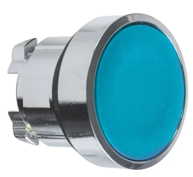 TESTA PULSANTE BLU