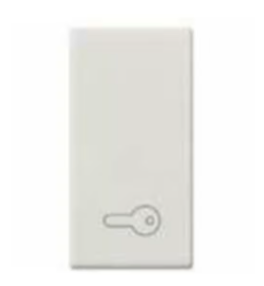 Tasto 1M simbolo chiave bianco