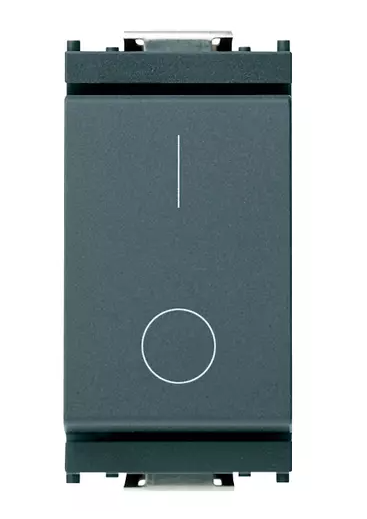 Interruttore 2P 16AX grigio