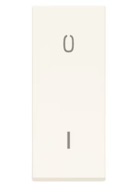 Interruttore 2P 20AX basculante bianco