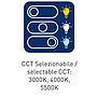 Applique LED IP65 Quadrata 2x5W CCT Antracite
