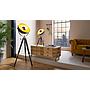 COVALEDA - Piantana - E27 1X60W - Struttura in legno, acciaio / finitura nero, ottone, oro;
Ø550 H1640